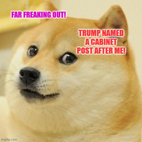 Doge | FAR FREAKING OUT! TRUMP NAMED A CABINET POST AFTER ME! | image tagged in memes,doge | made w/ Imgflip meme maker