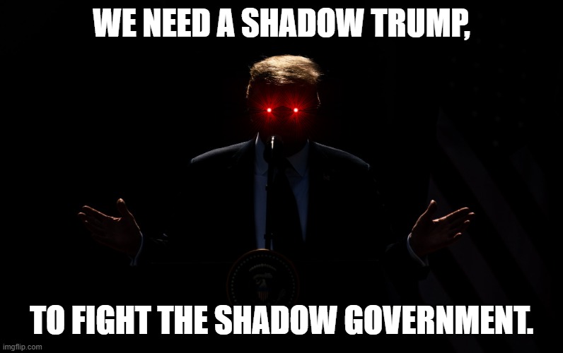 Shadow Trump | WE NEED A SHADOW TRUMP, TO FIGHT THE SHADOW GOVERNMENT. | image tagged in shadow trump | made w/ Imgflip meme maker