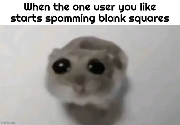 Sad Hamster | When the one user you like starts spamming blank squares | image tagged in sad hamster | made w/ Imgflip meme maker