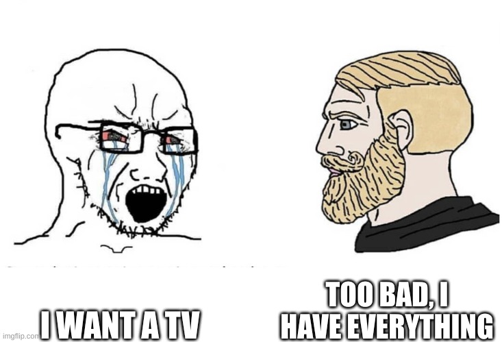 I Want A TV | TOO BAD, I HAVE EVERYTHING; I WANT A TV | image tagged in soyboy vs yes chad,tv | made w/ Imgflip meme maker