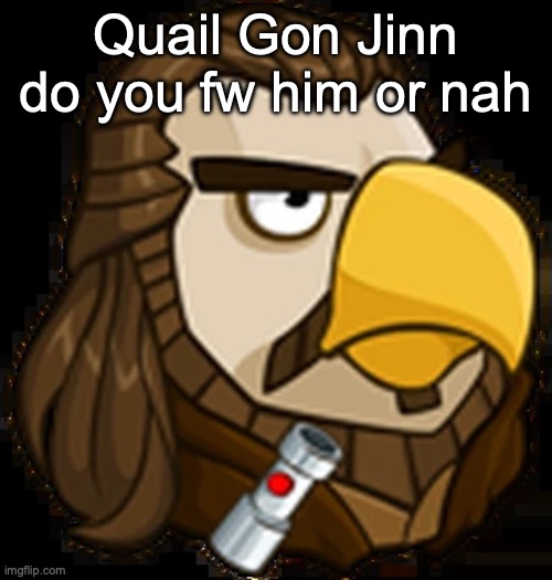 Quail Gon Jinn | Quail Gon Jinn do you fw him or nah | image tagged in quail gon jinn | made w/ Imgflip meme maker
