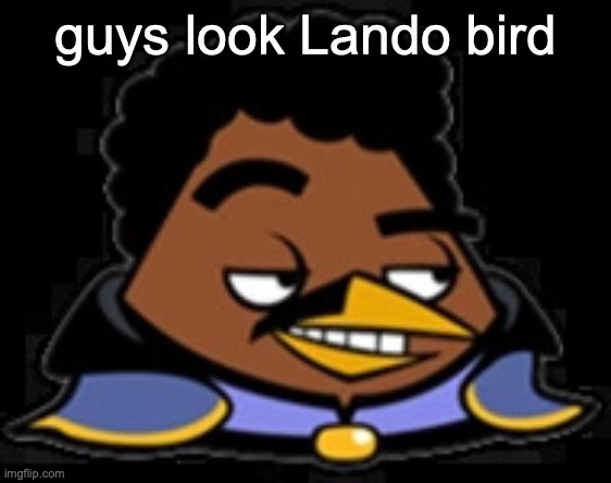 Lando Bird | guys look Lando bird | image tagged in lando bird | made w/ Imgflip meme maker