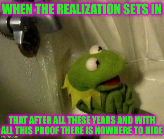 There is No Such thing as Hiding in Plain Sight | WHEN THE REALIZATION SETS IN; THAT AFTER ALL THESE YEARS AND WITH ALL THIS PROOF THERE IS NOWHERE TO HIDE | image tagged in kermit on shower,doge,buff doge | made w/ Imgflip meme maker