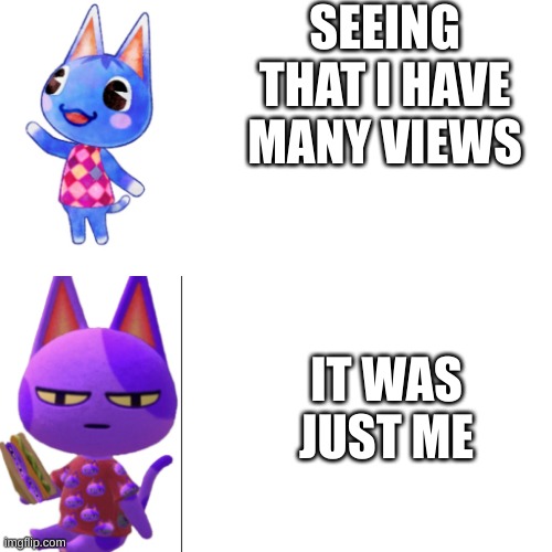 Just me. | SEEING THAT I HAVE MANY VIEWS; IT WAS JUST ME | image tagged in happy rosie vs unhappy bob | made w/ Imgflip meme maker