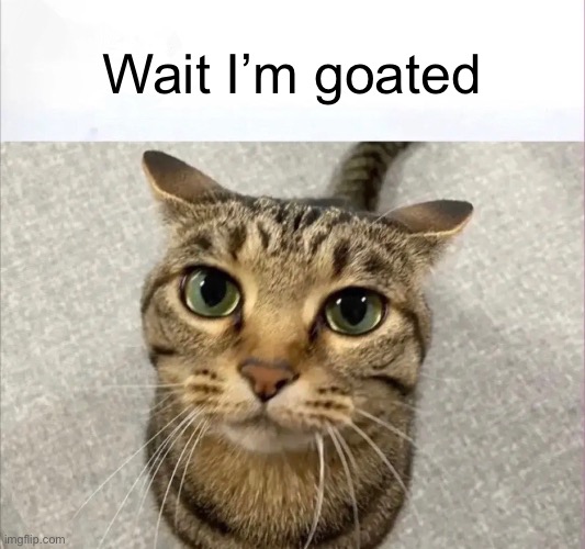 Wait I'm goated car | Wait I’m goated | image tagged in wait i'm goated car | made w/ Imgflip meme maker