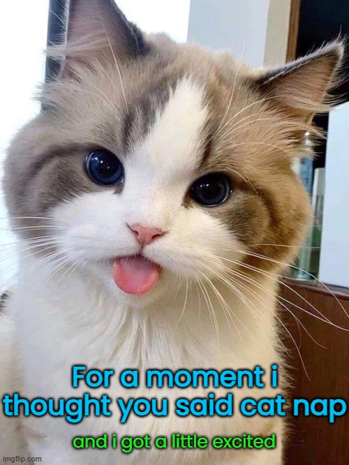 For a moment i thought you said cat nap and i got a little excited | made w/ Imgflip meme maker