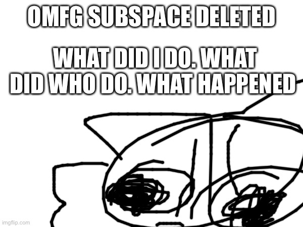 OMFG SUBSPACE DELETED; WHAT DID I DO. WHAT DID WHO DO. WHAT HAPPENED | made w/ Imgflip meme maker