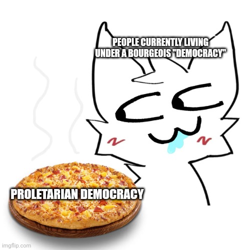 i crave an actually democratic system, instead of this capitalist regime | PEOPLE CURRENTLY LIVING UNDER A BOURGEOIS "DEMOCRACY"; PROLETARIAN DEMOCRACY | image tagged in boykisser | made w/ Imgflip meme maker