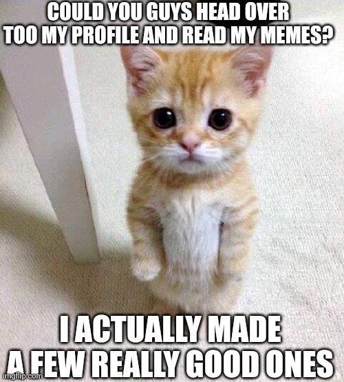 I'm not begging for views, I just wanna know if I'm funny or not | COULD YOU GUYS HEAD OVER TOO MY PROFILE AND READ MY MEMES? I ACTUALLY MADE A FEW REALLY GOOD ONES | image tagged in memes,cute cat | made w/ Imgflip meme maker