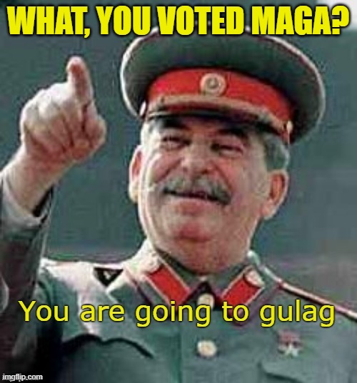 you are going to gulag | WHAT, YOU VOTED MAGA? | image tagged in you are going to gulag | made w/ Imgflip meme maker