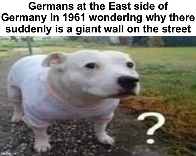 Wonder why that wall is there | Germans at the East side of Germany in 1961 wondering why there suddenly is a giant wall on the street | image tagged in dog question mark | made w/ Imgflip meme maker