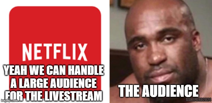 Netflix Can Handle Large Audience | YEAH WE CAN HANDLE A LARGE AUDIENCE FOR THE LIVESTREAM; THE AUDIENCE; SSHEPARD2024 | image tagged in netflix,livestream,audience,large,too big | made w/ Imgflip meme maker