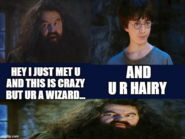 Call me maybe (Hagrid version) | AND U R HAIRY; HEY I JUST MET U
AND THIS IS CRAZY
BUT UR A WIZARD... | image tagged in harry potter,hagrid,call me maybe | made w/ Imgflip meme maker