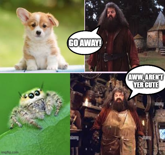 How Hagrid treats different animals | GO AWAY! AWW, AREN'T YER CUTE | image tagged in hagrid,harry potter,harry potter meme,hagrid meme | made w/ Imgflip meme maker