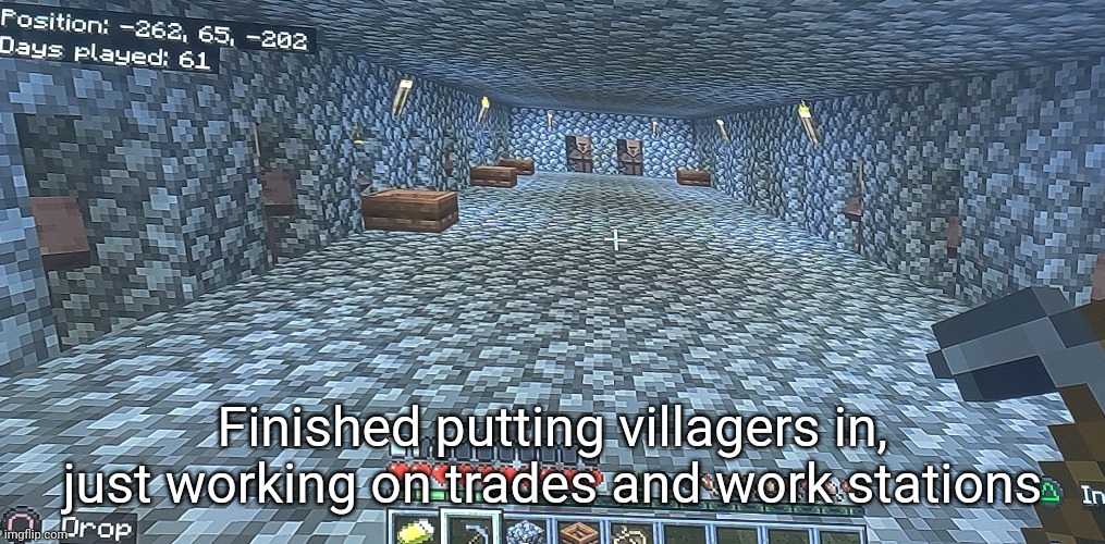 I currently have four farmers that accept each crop type (wheat, beetroots, potatoes, and carrots) | Finished putting villagers in, just working on trades and work stations | made w/ Imgflip meme maker