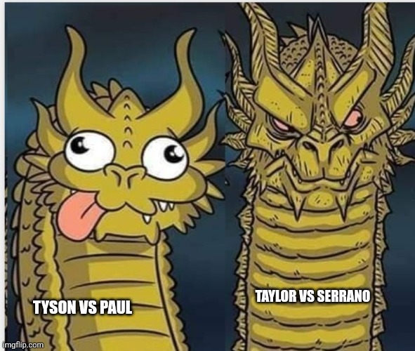 The fight was so ass | TAYLOR VS SERRANO; TYSON VS PAUL | image tagged in two dragons | made w/ Imgflip meme maker