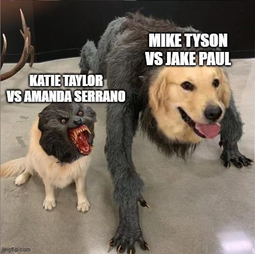 Boxing moment | MIKE TYSON VS JAKE PAUL; KATIE TAYLOR VS AMANDA SERRANO | image tagged in dog and werewolf | made w/ Imgflip meme maker