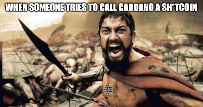 Sparta Leonidas Meme | WHEN SOMEONE TRIES TO CALL CARDANO A SH*TCOIN | image tagged in memes,sparta leonidas | made w/ Imgflip meme maker