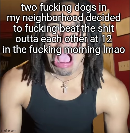 xenoicxavier | two fucking dogs in my neighborhood decided to fucking beat the shit outta each other at 12 in the fucking morning lmao | image tagged in xenoicxavier | made w/ Imgflip meme maker