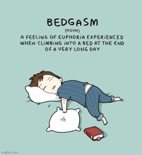 Bedgasm | image tagged in bedgasm,tired,sleeping,maybe,hope,funny meme | made w/ Imgflip meme maker