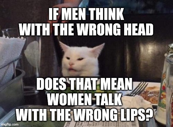 Smudge that darn cat | IF MEN THINK WITH THE WRONG HEAD; DOES THAT MEAN WOMEN TALK WITH THE WRONG LIPS? | image tagged in smudge that darn cat | made w/ Imgflip meme maker