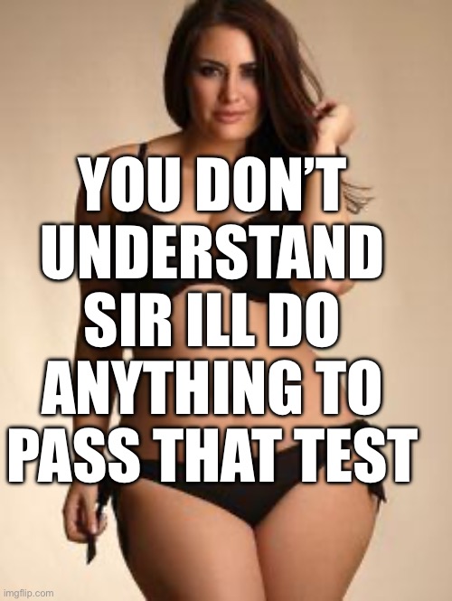 Sexy girl | YOU DON’T UNDERSTAND SIR ILL DO ANYTHING TO PASS THAT TEST | image tagged in sexy girl | made w/ Imgflip meme maker