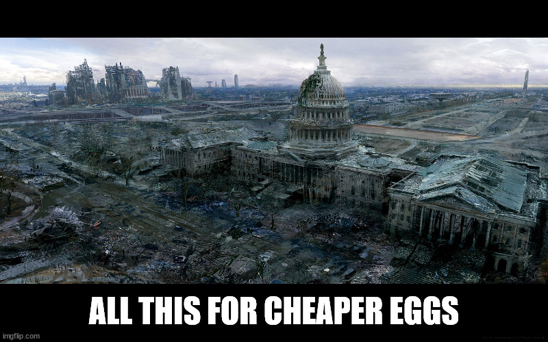 Washington Dc destroyed | ALL THIS FOR CHEAPER EGGS | image tagged in washington dc destroyed | made w/ Imgflip meme maker