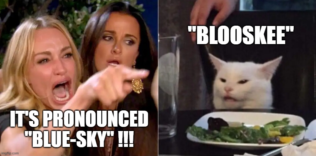 BLUE SKY | "BLOOSKEE"; IT'S PRONOUNCED "BLUE-SKY" !!! | image tagged in screaming lady n cat,twitter,bluesky,trump,elon musk | made w/ Imgflip meme maker