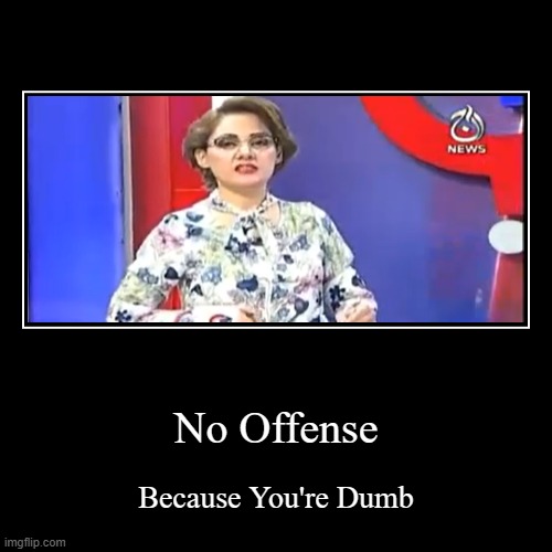 NO OFFENSE!!! | No Offense | Because You're Dumb | image tagged in funny,demotivationals | made w/ Imgflip demotivational maker