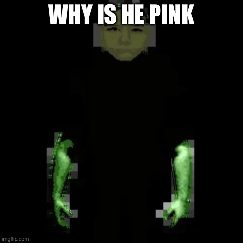 Garn47 | WHY IS HE PINK | image tagged in garn47 | made w/ Imgflip meme maker