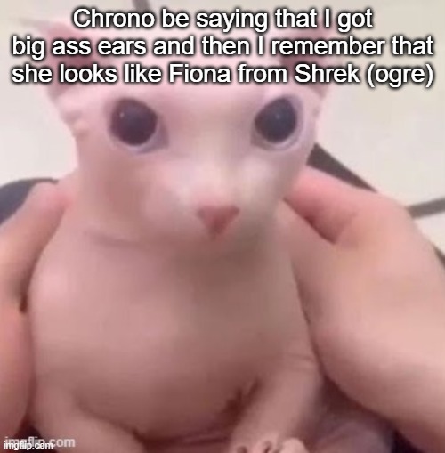 bingus | Chrono be saying that I got big ass ears and then I remember that she looks like Fiona from Shrek (ogre) | image tagged in bingus | made w/ Imgflip meme maker