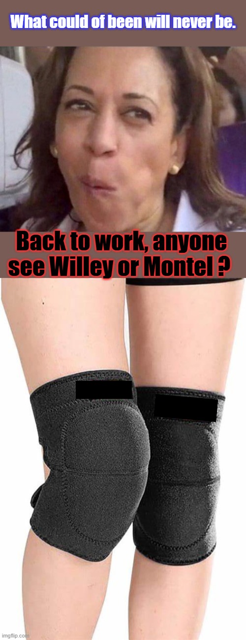 They insult your inteligence with giving people like this power over your lives . | What could of been will never be. Back to work, anyone see Willey or Montel ? | image tagged in kamala harris | made w/ Imgflip meme maker