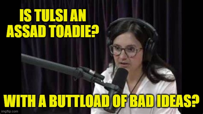 IS TULSI AN ASSAD TOADIE? WITH A BUTTLOAD OF BAD IDEAS? | made w/ Imgflip meme maker