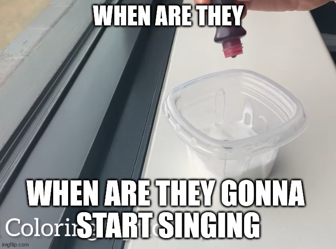 only the true bros know | WHEN ARE THEY; WHEN ARE THEY GONNA 
START SINGING | image tagged in youtube | made w/ Imgflip meme maker