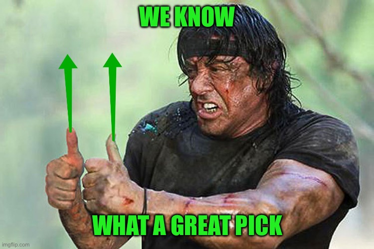 Two Thumbs Up Vote | WE KNOW WHAT A GREAT PICK | image tagged in two thumbs up vote | made w/ Imgflip meme maker