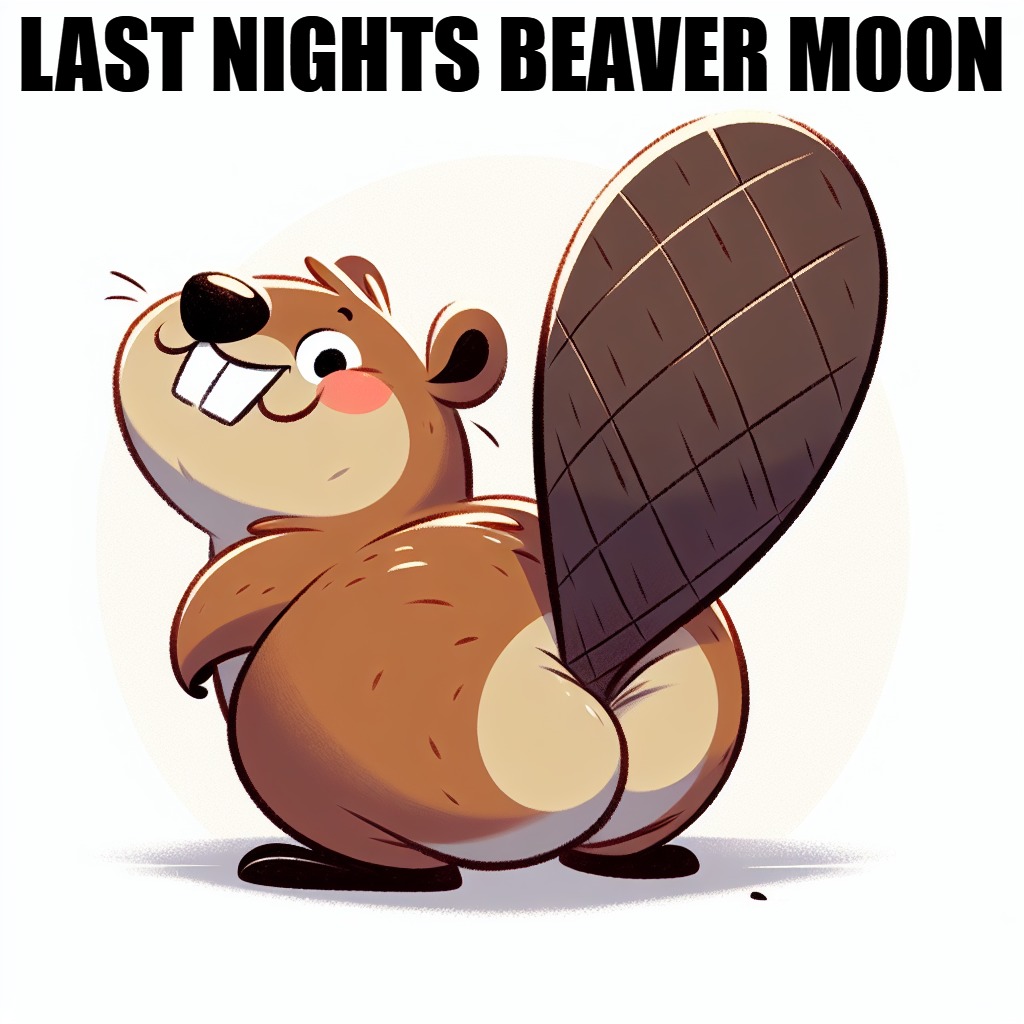 beaver moon | LAST NIGHTS BEAVER MOON | image tagged in beaver moon,kewlew | made w/ Imgflip meme maker