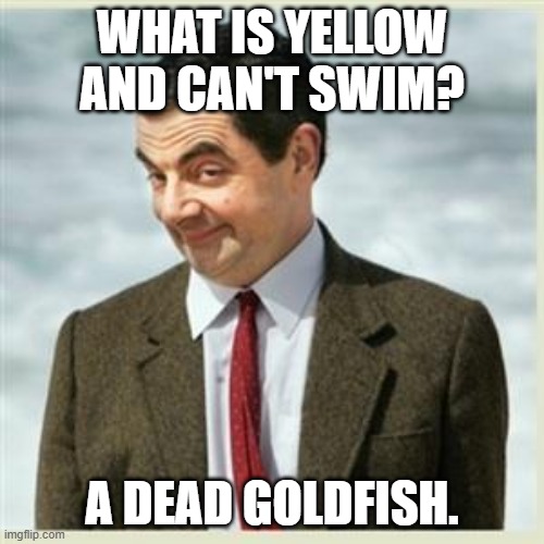 Been a while since I posted here | WHAT IS YELLOW AND CAN'T SWIM? A DEAD GOLDFISH. | image tagged in mr bean smirk,memes,dark,dark humor,dark humour | made w/ Imgflip meme maker