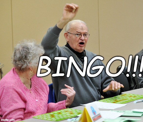 Bingo | BINGO!!! | image tagged in bingo | made w/ Imgflip meme maker