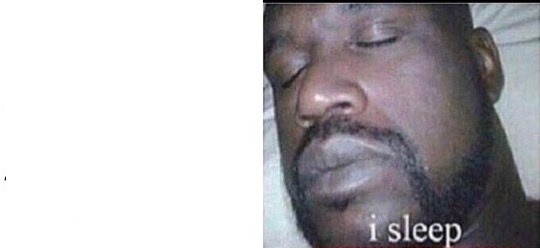 I sleep I sleep real shit Blank Meme Template