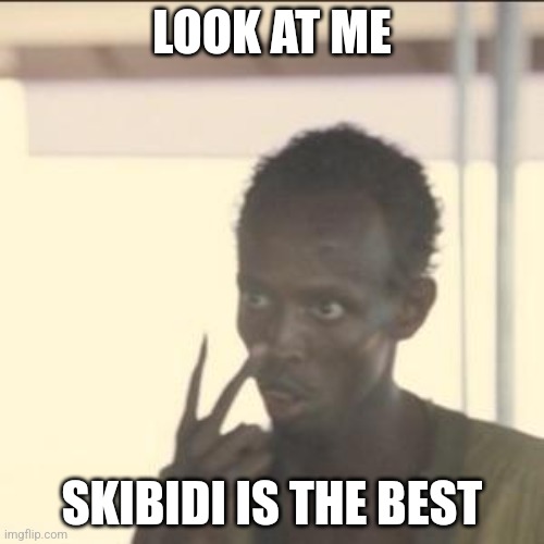 Look At Me | LOOK AT ME; SKIBIDI IS THE BEST | image tagged in memes,look at me | made w/ Imgflip meme maker