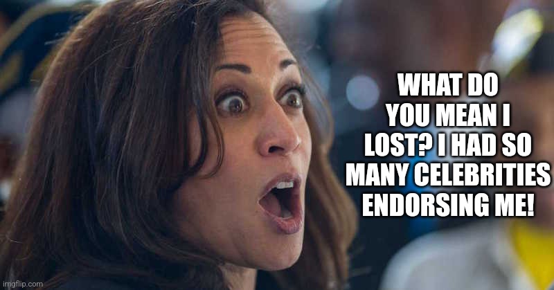 Imagine trying to get a job and the best strategy you have is you know rich people? Now stop imagining, Harris did just that! | WHAT DO YOU MEAN I LOST? I HAD SO MANY CELEBRITIES ENDORSING ME! | image tagged in kamala harriss,rich people,liberal hypocrisy,crying democrats,liberal logic,election | made w/ Imgflip meme maker