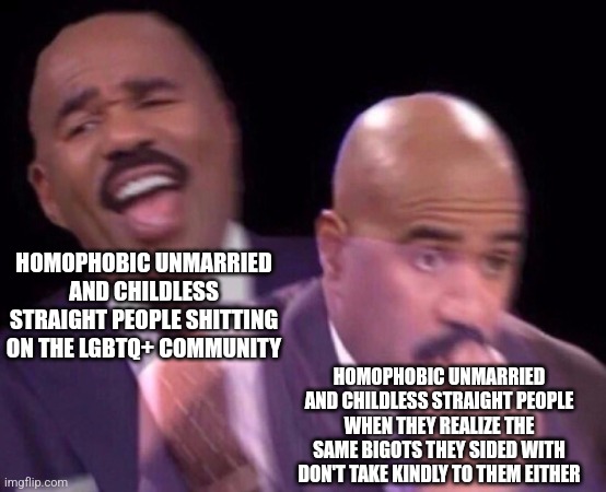 I learned the hard way why I shouldn't be shitting on the LGBTQ+ community | HOMOPHOBIC UNMARRIED AND CHILDLESS STRAIGHT PEOPLE SHITTING ON THE LGBTQ+ COMMUNITY; HOMOPHOBIC UNMARRIED AND CHILDLESS STRAIGHT PEOPLE WHEN THEY REALIZE THE SAME BIGOTS THEY SIDED WITH DON'T TAKE KINDLY TO THEM EITHER | image tagged in steve harvey laughing serious,lgbtq,homophobia,bigotry,bigots,realization | made w/ Imgflip meme maker