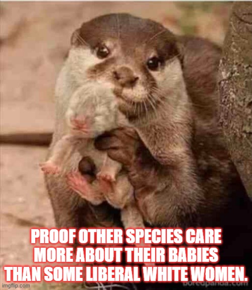 Mommy | PROOF OTHER SPECIES CARE MORE ABOUT THEIR BABIES THAN SOME LIBERAL WHITE WOMEN. | image tagged in babies,liberal white women,abortion | made w/ Imgflip meme maker