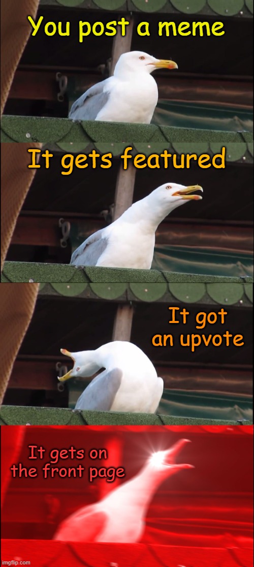 Man that would be awesome | You post a meme; It gets featured; It got an upvote; It gets on the front page | image tagged in memes,inhaling seagull | made w/ Imgflip meme maker