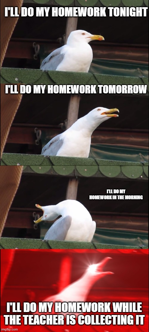 Inhaling Seagull | I'LL DO MY HOMEWORK TONIGHT; I'LL DO MY HOMEWORK TOMORROW; I'LL DO MY HOMEWORK IN THE MORNING; I'LL DO MY HOMEWORK WHILE THE TEACHER IS COLLECTING IT | image tagged in memes,inhaling seagull | made w/ Imgflip meme maker