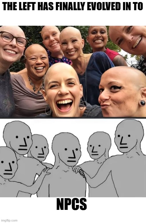 Life truly imitates art | THE LEFT HAS FINALLY EVOLVED IN TO; NPCS | image tagged in funny memes,npc meme,feminism,trump derangement syndrome,political meme,donald trump approves | made w/ Imgflip meme maker