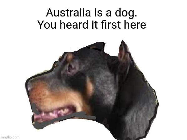 Australia is a Dog | Australia is a dog. You heard it first here | image tagged in dog,raydog,australia,map,google,funny | made w/ Imgflip meme maker