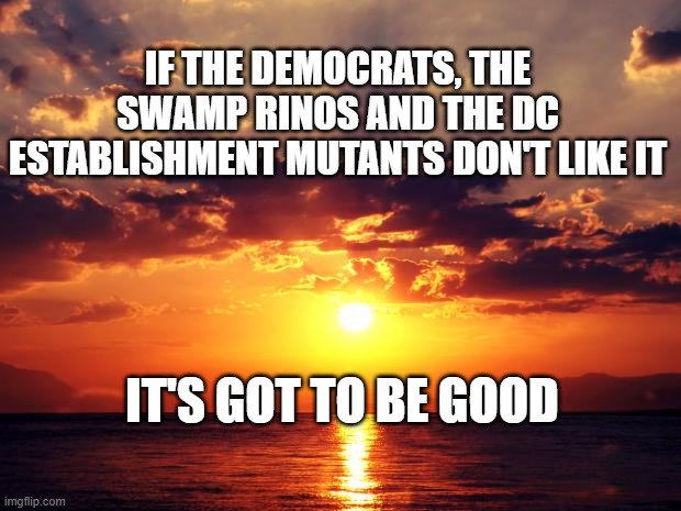 Sunset | IF THE DEMOCRATS, THE SWAMP RINOS AND THE DC ESTABLISHMENT MUTANTS DON'T LIKE IT; IT'S GOT TO BE GOOD | image tagged in sunset | made w/ Imgflip meme maker