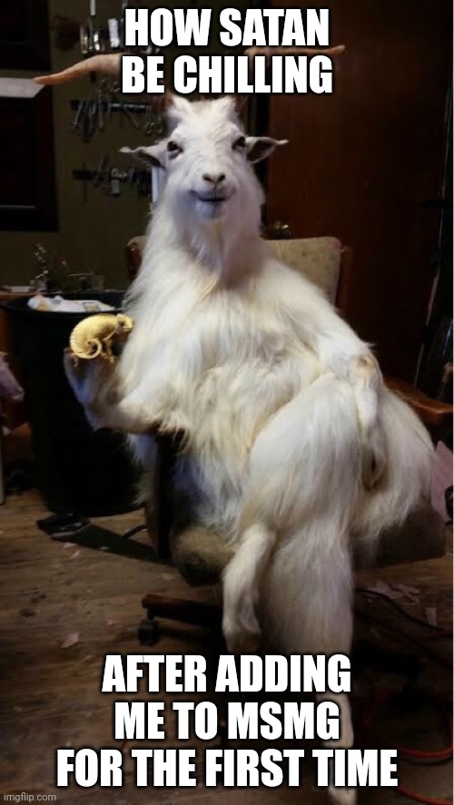 goat | HOW SATAN BE CHILLING; AFTER ADDING ME TO MSMG FOR THE FIRST TIME | image tagged in goat | made w/ Imgflip meme maker