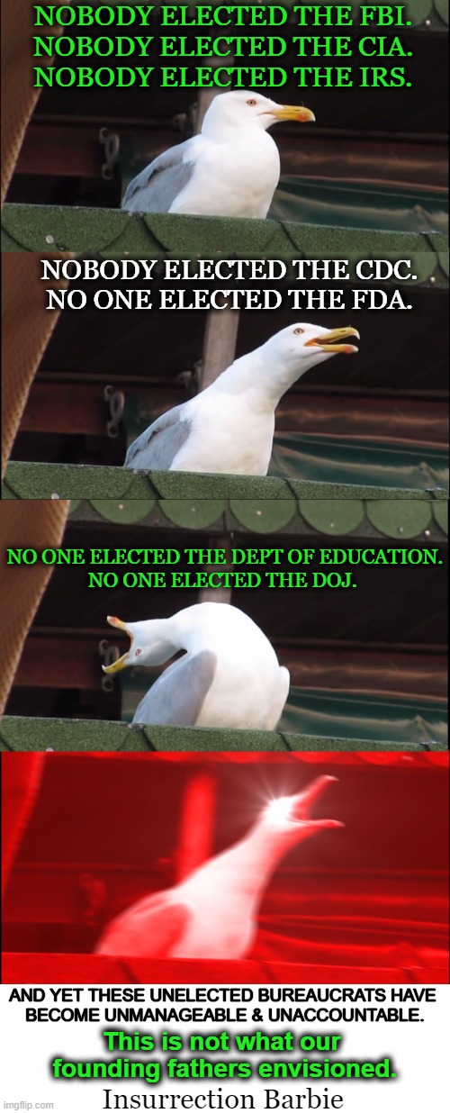 TRUMP Will Fix It ! | NOBODY ELECTED THE FBI.

NOBODY ELECTED THE CIA.

NOBODY ELECTED THE IRS. NOBODY ELECTED THE CDC.

NO ONE ELECTED THE FDA. NO ONE ELECTED THE DEPT OF EDUCATION.

NO ONE ELECTED THE DOJ. AND YET THESE UNELECTED BUREAUCRATS HAVE 
BECOME UNMANAGEABLE & UNACCOUNTABLE. This is not what our 
founding fathers envisioned. Insurrection Barbie | image tagged in inhaling seagull,insurrection barbie,the problem is,fbi cia irs doj cdc,big government,government corruption | made w/ Imgflip meme maker